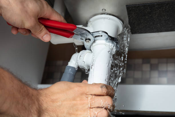 Best Local water damage restoration  in Elbow Lake, MN
