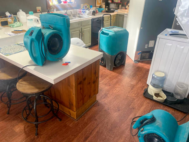 Best Water damage restoration experts  in Elbow Lake, MN