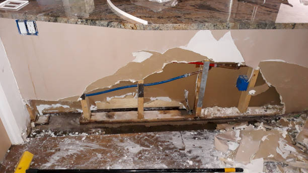  Elbow Lake, MN Water damage restoration Pros