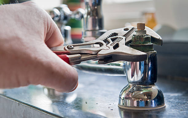 Best Mold removal after water damage  in Elbow Lake, MN