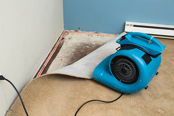 Water damage restoration experts in Elbow Lake, MN